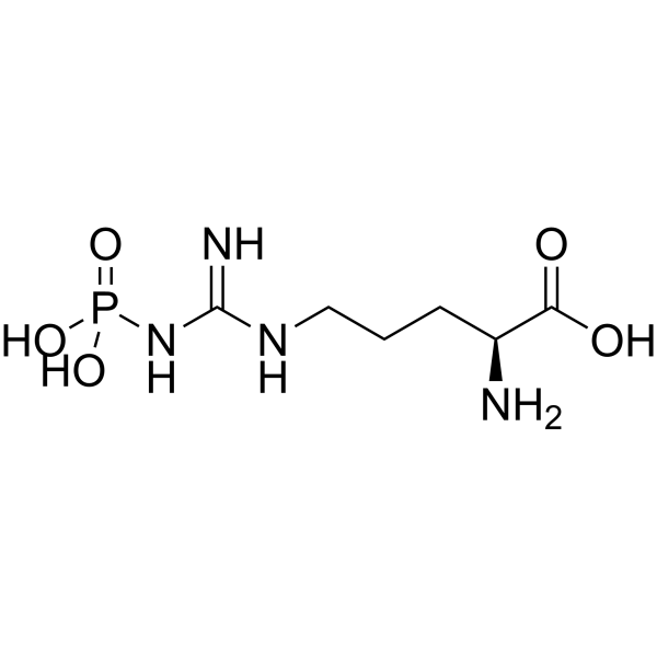 Phospho-L-arginine 1189-11-3